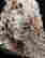 item-131346090=4