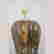 item-131967257=11