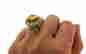item-131370878=4