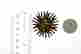 item-131370888=4