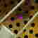 item-131370888=5