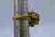 item-131370897=8
