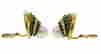 item-131370901=4