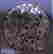 item-131371013=4