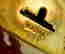item-131371047=7
