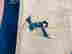item-131373628=5