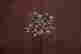 item-131373753=16