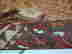 item-131375510=7
