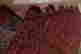 item-131375976=11