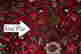 item-131375976=6