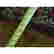item-131375989=11