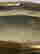item-131376390=8