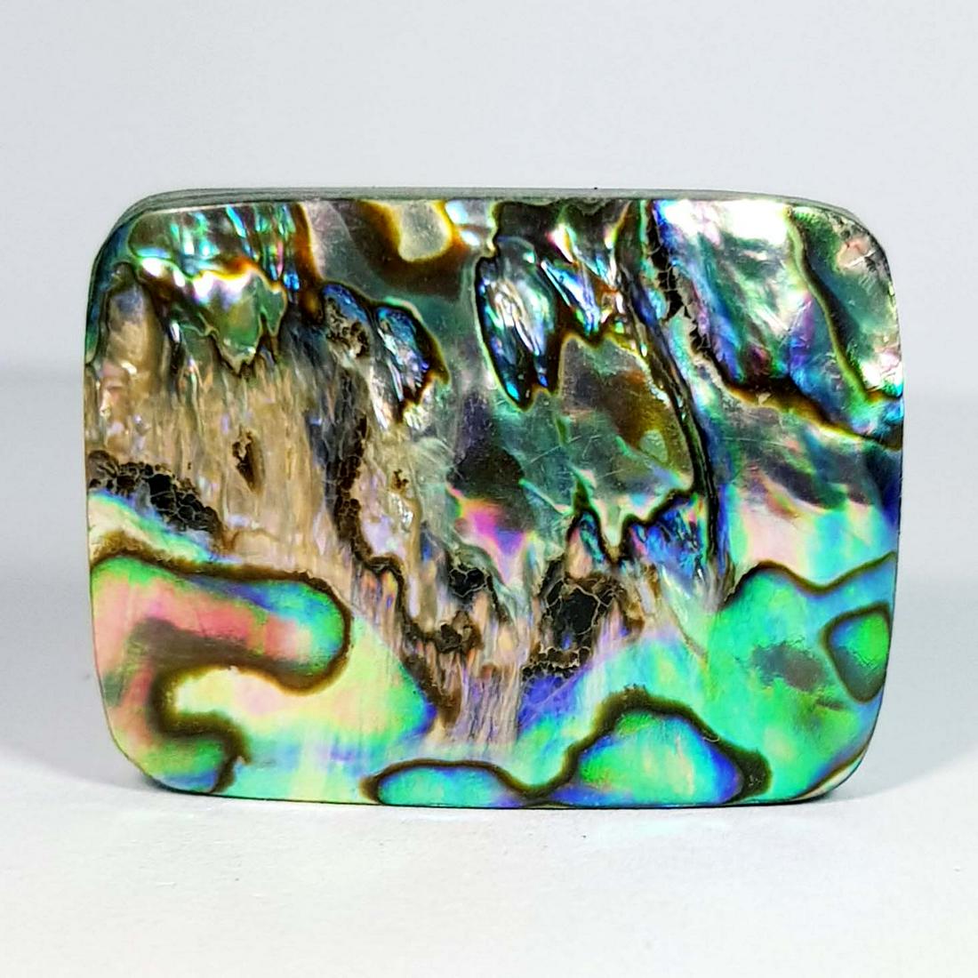 36.60 ct Natural Australian Abalon (1 of 3)