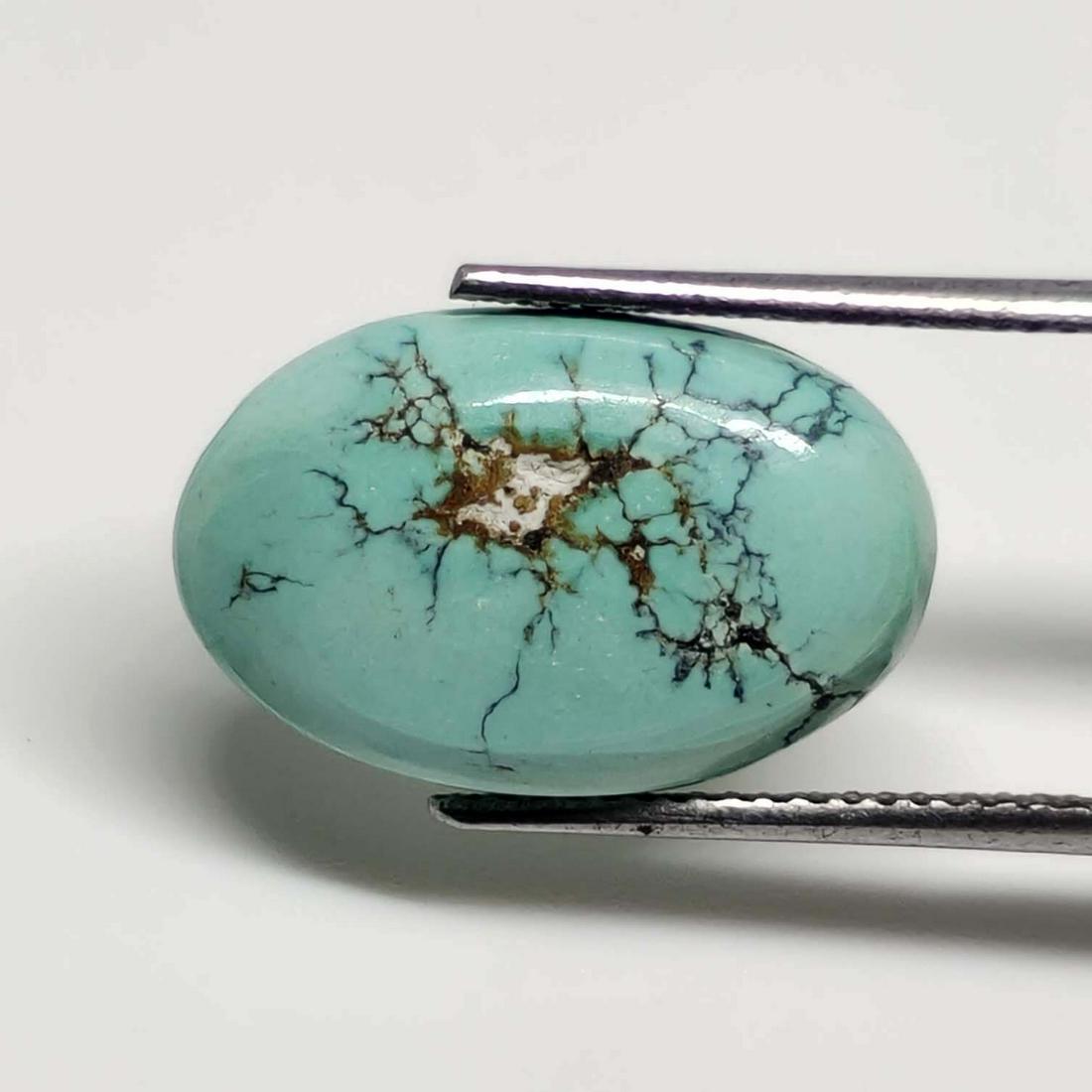 6.50 Ct Natural Turquoise: No Reserve! Title: 6.50 Ct Natural Turquoise Additional Information: Gemstones: Turquoise Carat Weights: 6.50 ct Size/Dimensions: 17 X 11 X 4 mm Materials & Techniques: Turquoise Weight Unit: Ct Shipp