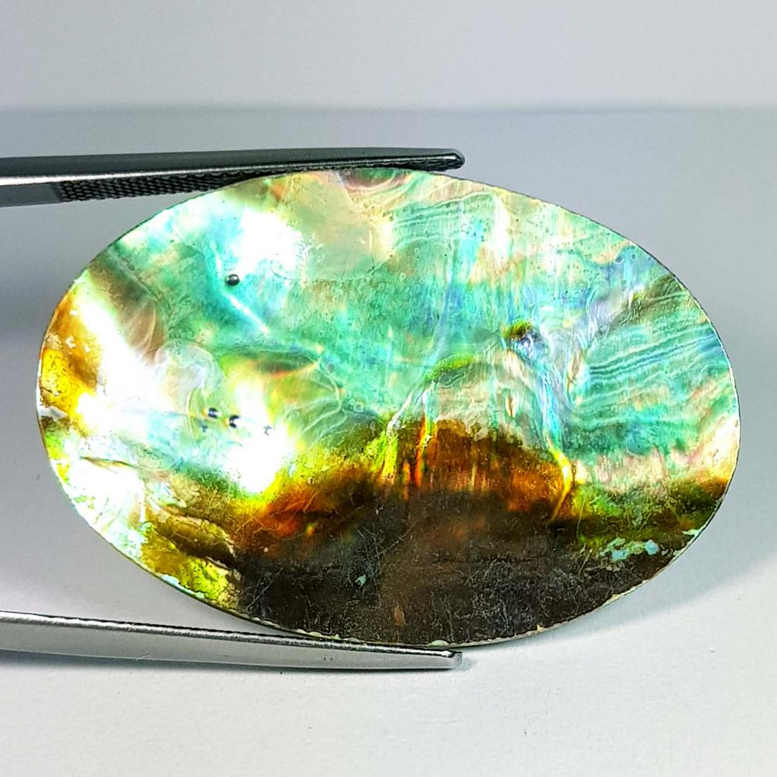 17.16 ct Natural Australian Abalon: No Reserve! Title: 17.16 ct Natural Australian Abalon Color/Clarity: Multy Color / Opaque Gemstones: Abalon Carat Weight: 17.16 Size/Dimensions: 36.70 x 25.30 x 2.25 Additional Information: Oval / Aus