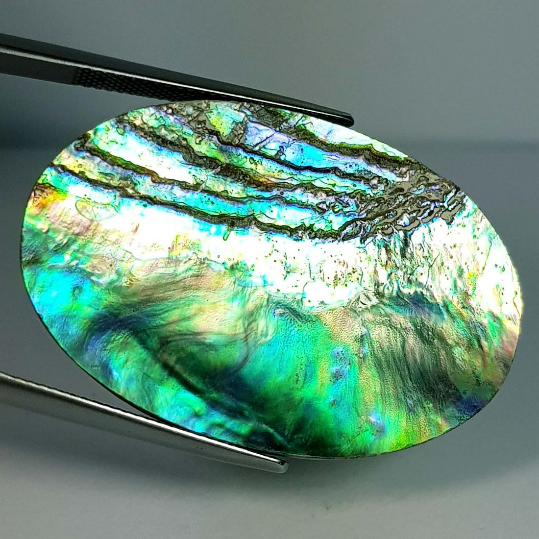 27.20 ct Natural Australian Abalon: No Reserve! Title: 27.20 ct Natural Australian Abalon Color/Clarity: Multy Color / Opaque Gemstones: Abalon Carat Weight: 27.2 Size/Dimensions: 38.60 x 25.70 x 3.15 Additional Information: Oval / Aust