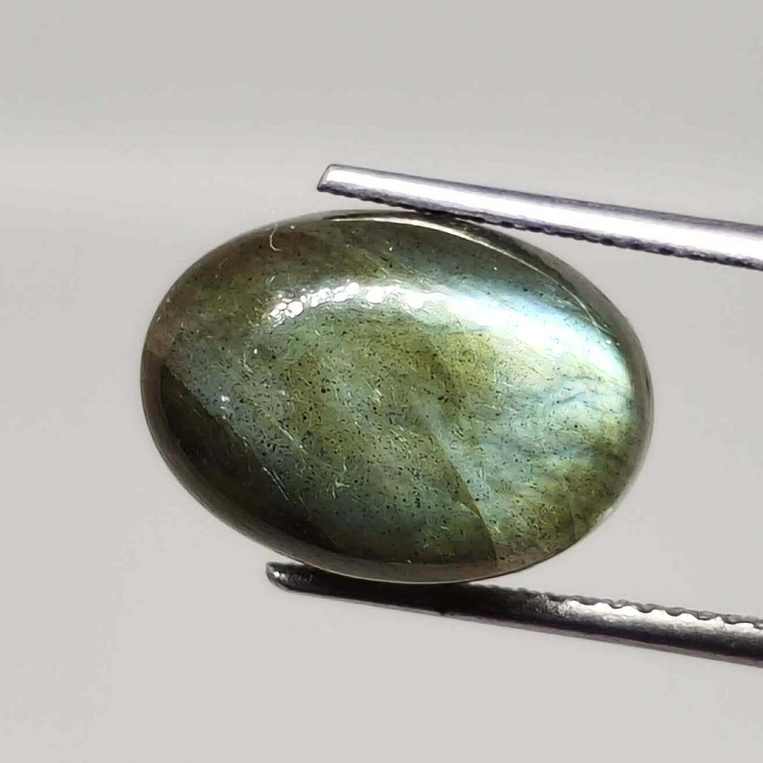 7.75 ct Natural Labradorite: No Reserve! Title: 7.75 ct Natural Labradorite Additional Information: Gemstones: Labradorite Carat Weights: 7.75 ct Size/Dimensions: 14 X 10 X 6 mm Origin : Labrador Materials & Techniques: Labradori