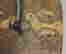 item-131412084=11
