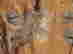 item-131412084=12