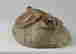 item-131412128=8