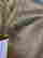 item-131426619=4