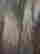 item-131426619=6