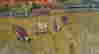 item-131440063=4