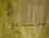item-131440063=5