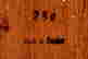 item-131440397=3