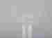 item-131440543=4