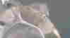 item-131440543=6