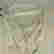item-131468389=7
