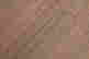 item-131485279=4
