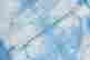 item-131485563=8
