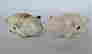 item-131493202=3