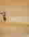 item-131494557=7