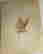 item-131503879=5