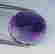 item-131504479=4