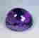 item-131504479=5