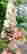 item-131521309=4