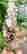 item-131521309=5
