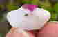 item-131521335=4