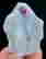 item-131521337=6