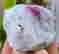 item-131521338=3