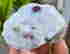 item-131521339=3