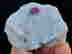 item-131521339=4
