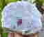 item-131521340=2