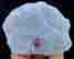 item-131521340=4