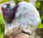 item-131521344=4