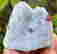item-131521348=2